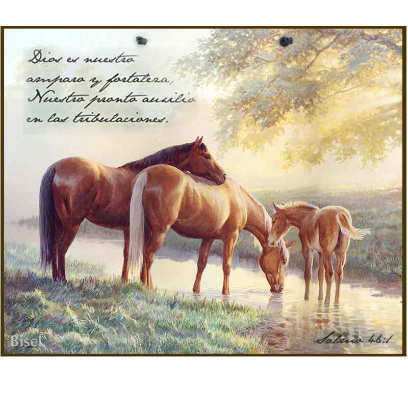 Plaqueta Pared ,Texto Salmo 46:10