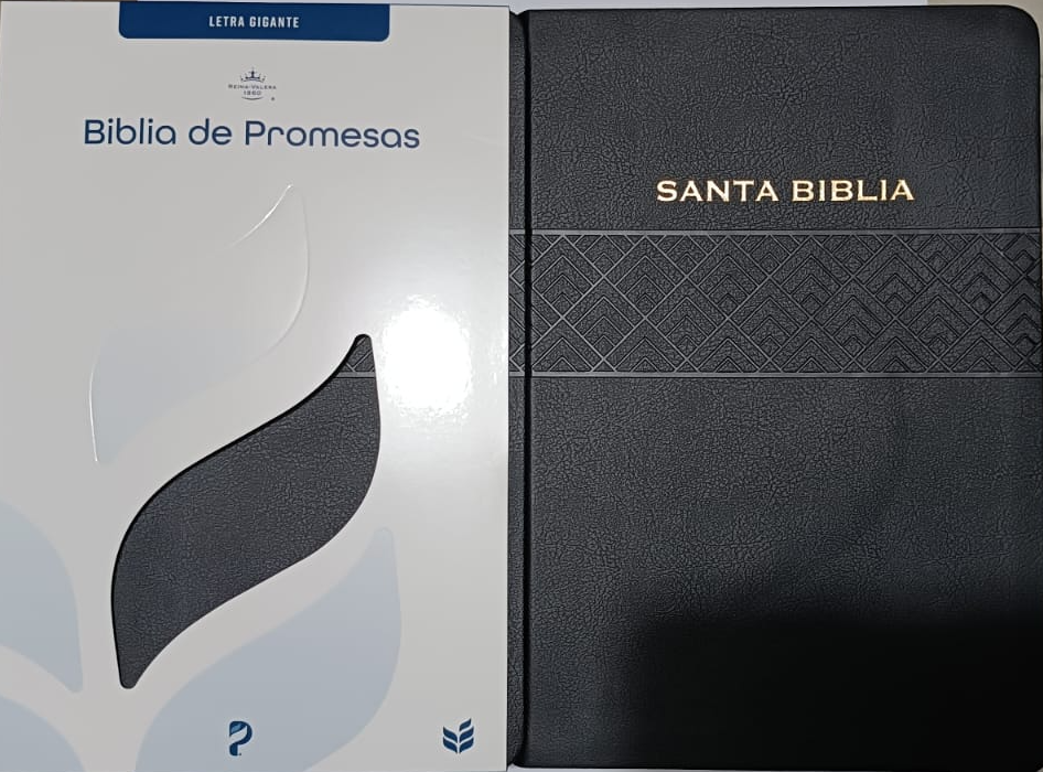 Biblia RVR 1960 De Promesas Letra Grande Color Negro