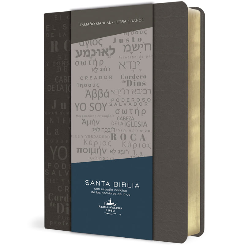 Biblia RVR 1960 De Color Gris Los Nombres De Jesús