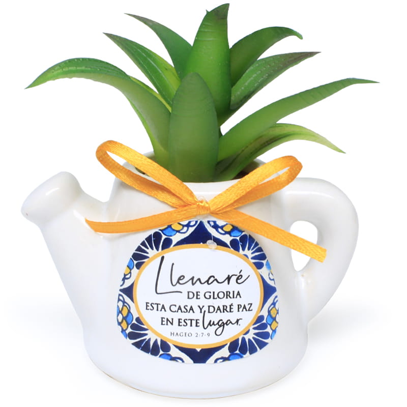 Maceta De Cerámica En Forma De Jarrilla Con Planta Suculenta  Texto: Hageo 2: 7-9