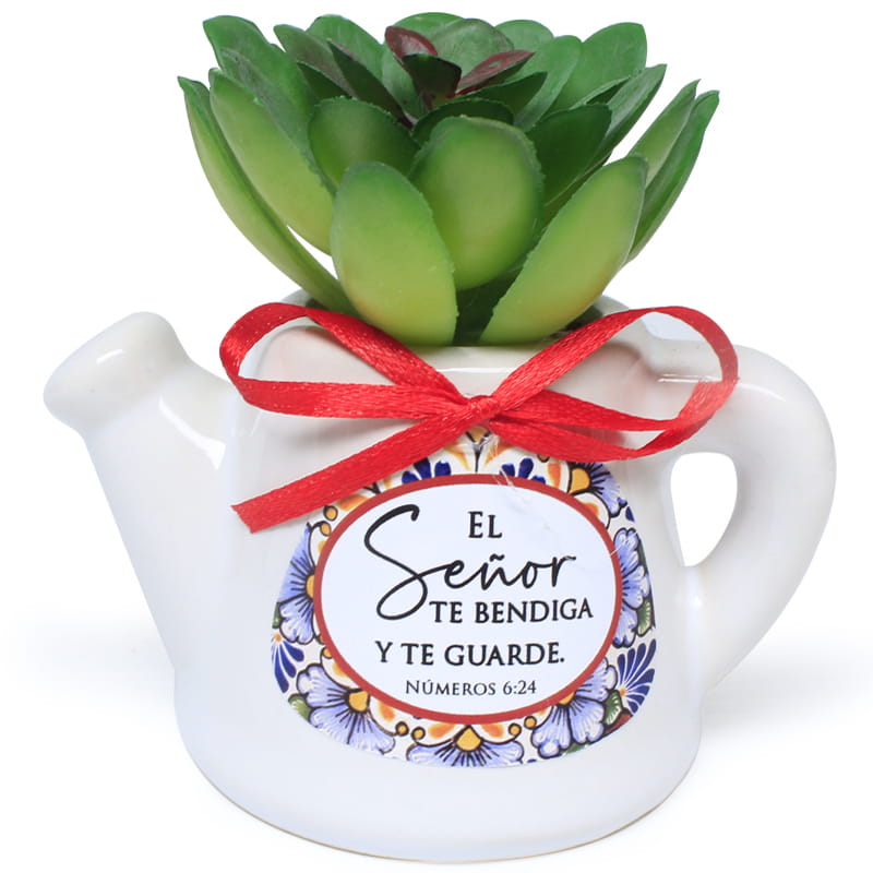 Maceta De Cerámica En Forma De Jarrilla Con Planta Suculenta  Texto: Números 6:24