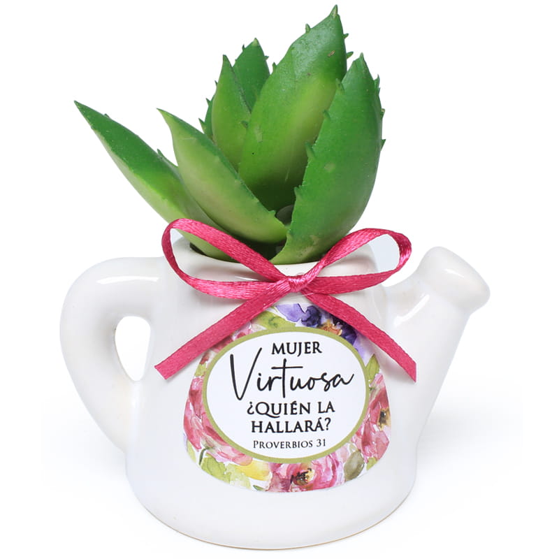 Maceta De Cerámica En Forma De Jarrilla Con Planta Suculenta  Texto: Proverbios 31