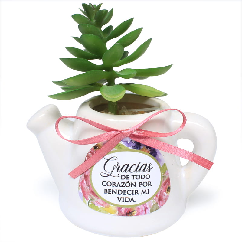 Maceta De Cerámica En Forma De Jarrilla Con Planta Suculenta  Texto: Gracias De Todo Corazón Por Bendecir Mi Vida.