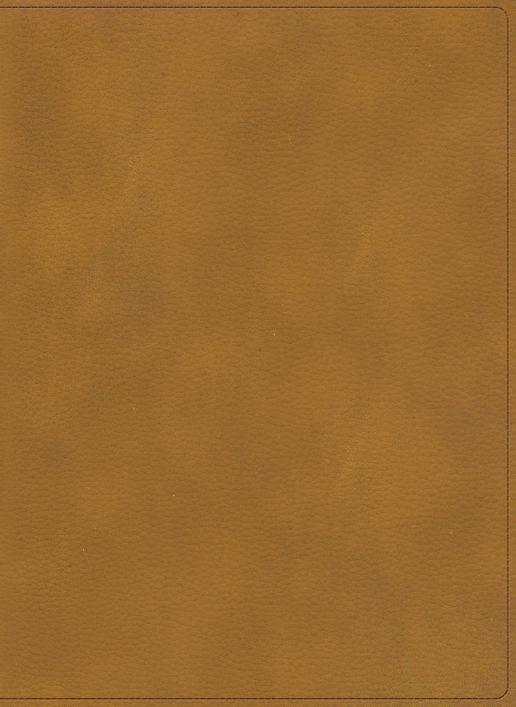 Biblia RVR 1960 Ilustrada De La Tierra Santa Café Simil Piel Con Indice