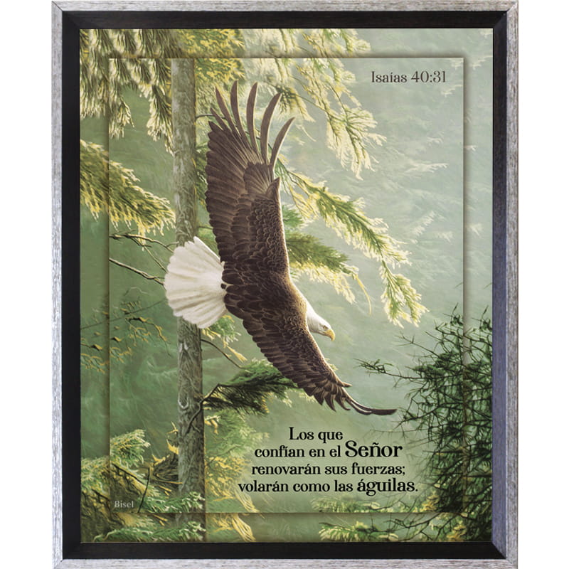 Cuadro Con Marco Color Humo Texto  "Los Que Confían en El Señor"