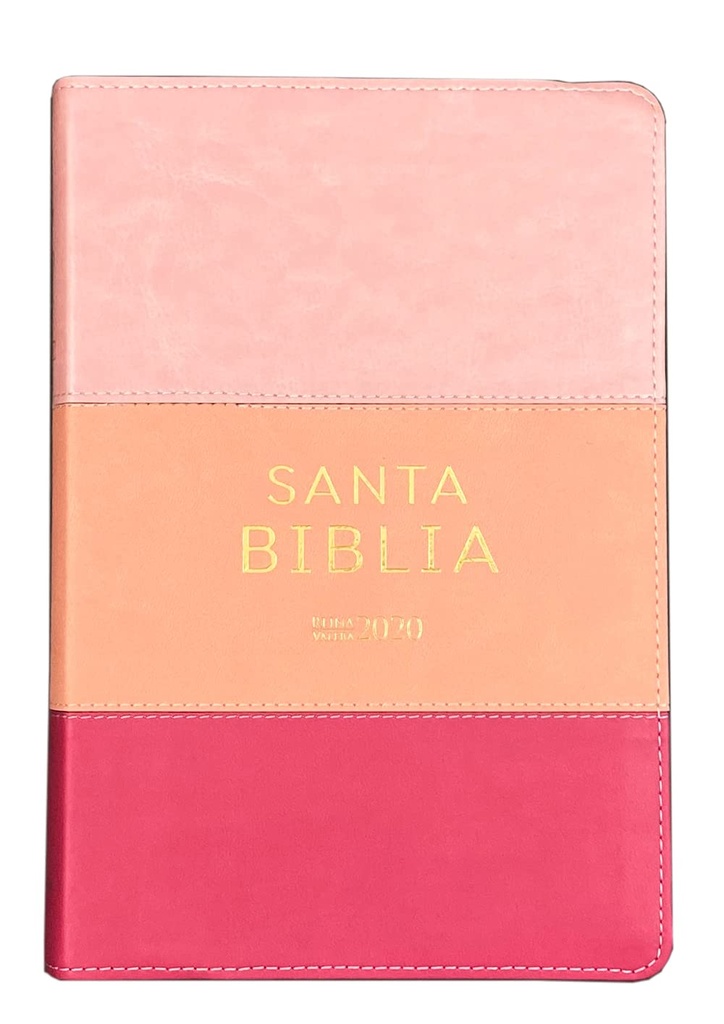 Biblia RV2020 LG Tricolor Rosa Biblia Reina Valera 2020 Letra Grande Colección Tricolor Rosa
