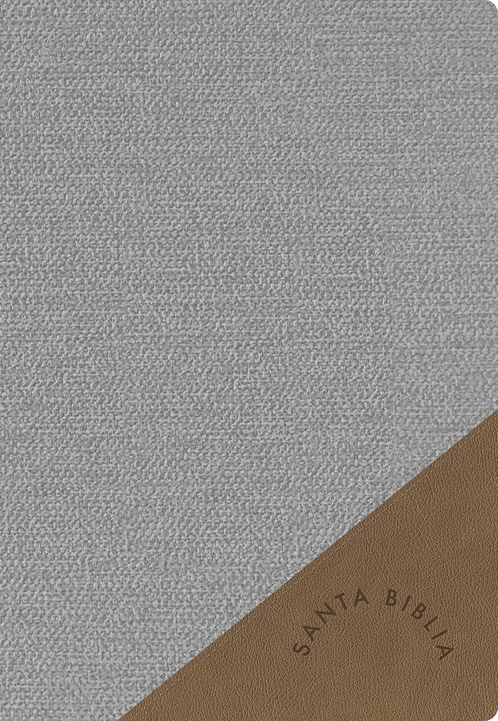 Biblia 1960 Letra Supergigante Edición 2023, Gris Con Índice