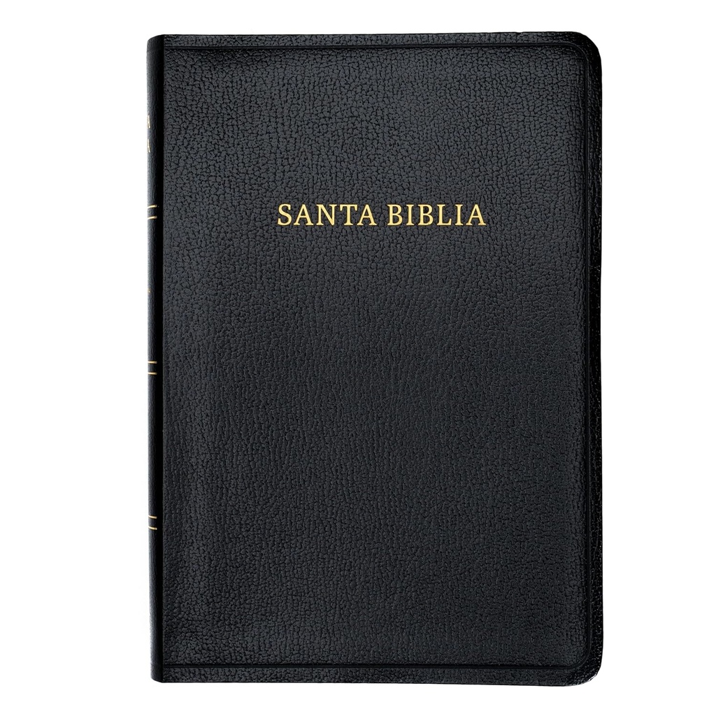 Biblia RVR 1960 Tamaño Manual. Letra Grande, Piel Negro