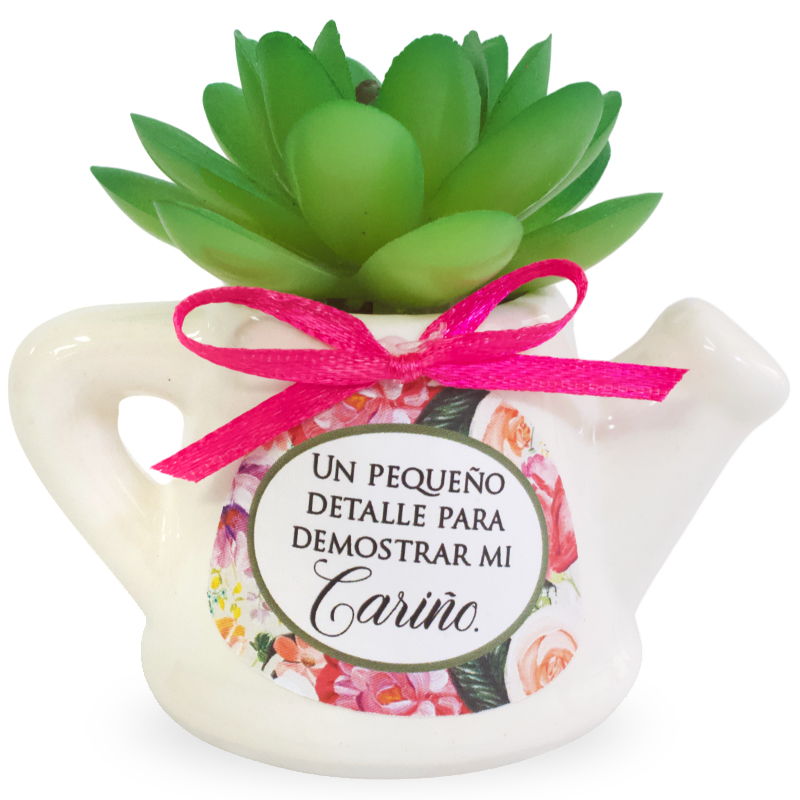 Maceta De Cerámica En Forma De Jarrilla Con Planta Suculenta Un Pequeño Detalle Para Demostrar Mi Cariño