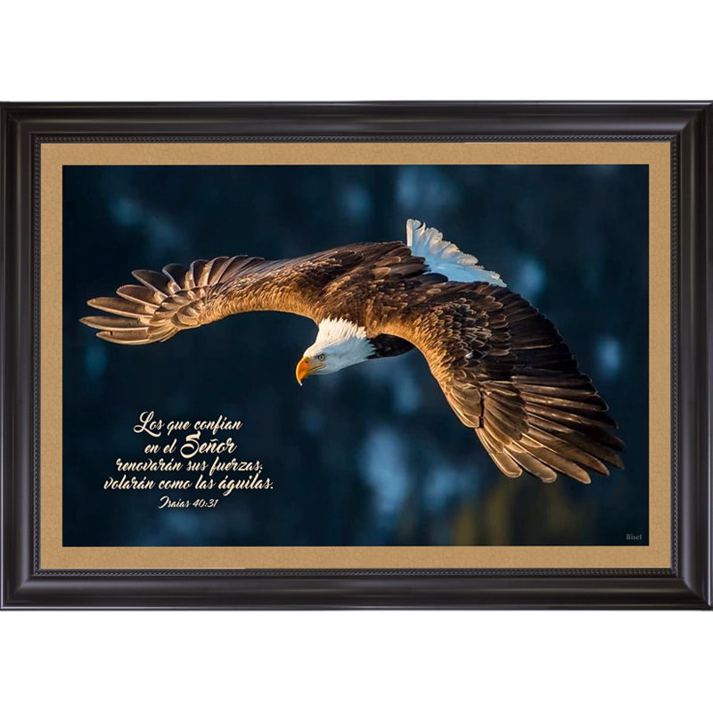 Cuadro Con Marco Color Negro Diseño De Águila Dorada Texto Isaías 40:31