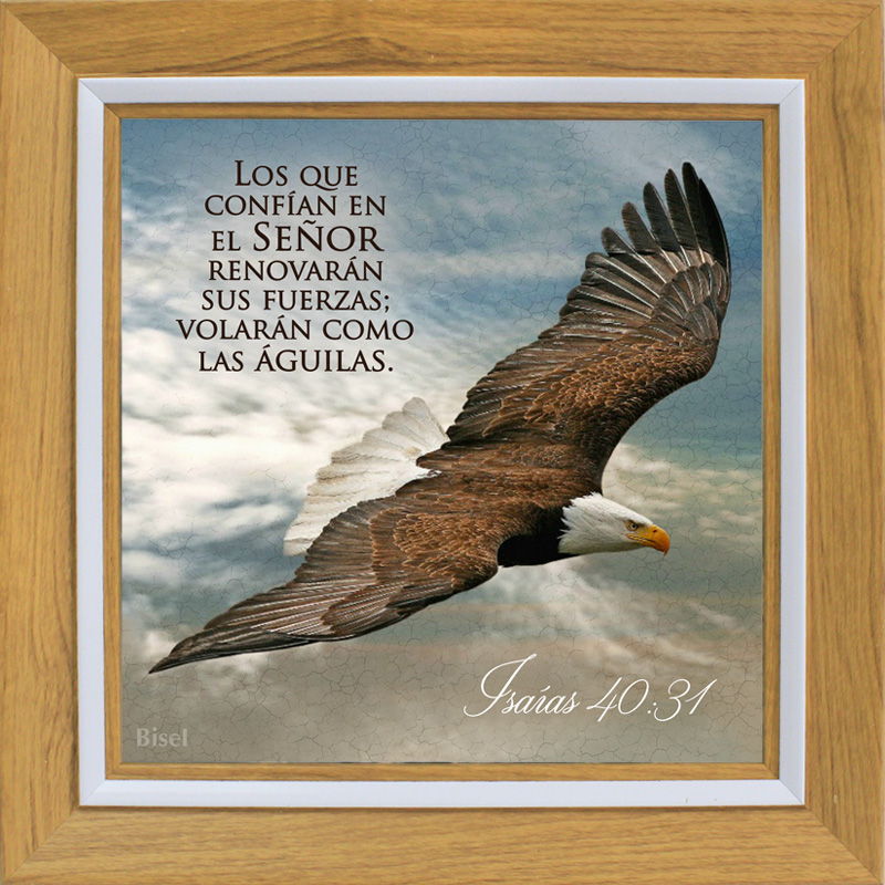 Cuadro Para Escritorio Marco Color Madera Diseño "Águila en Vuelo Texto: Isaías 40:31