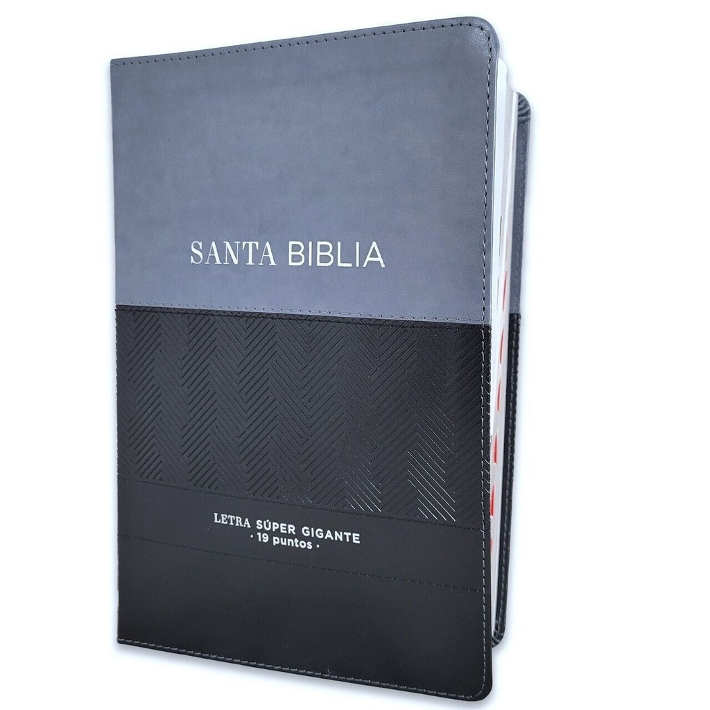 Biblia RVR 1960 Con Índice / Letra Súper Gigante Negro/Gris