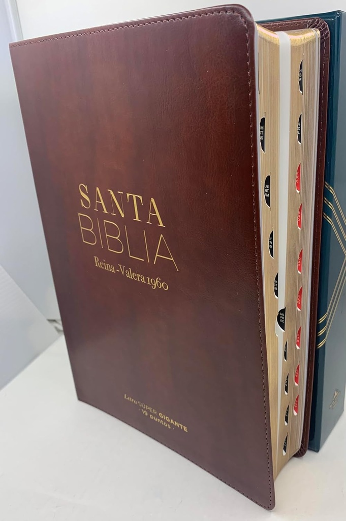 Biblia RVR 1960 Letra Súper Gigante Con Índice Café
