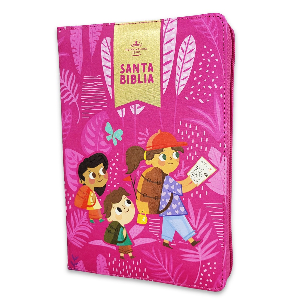 Biblia RVR 1960 Para Niñas Interactiva Edición Limitada Tamaño Manual Letra Grande