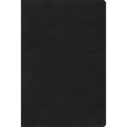 [LBSH-8086] Biblia RVR 1960 Arcoiris De Color Negro Imitación Piel