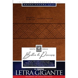 [LU-9141] Biblia RVR 1960 De Promesas Letra Grande (Café)