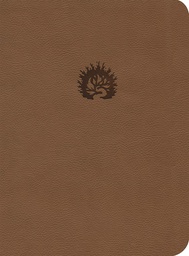 [LUCI-9572] Biblia De Estudio De La Reforma LBLA Piel Café Con Estuche