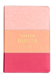 [ABBA-1213] Biblia RV2020 LG Tricolor Rosa Biblia Reina Valera 2020 Letra Grande Colección Tricolor Rosa