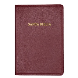 [LBSH-8279] Biblia RVR 1960 Letra Gigante Borgona Con Índice (Edición 2023)
