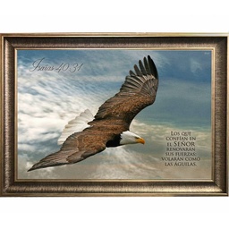 [CART-BS24011A] Cuadro Con Marco Color Pewter Diseño De Águila En Vuelo Texto Isaías 40:31